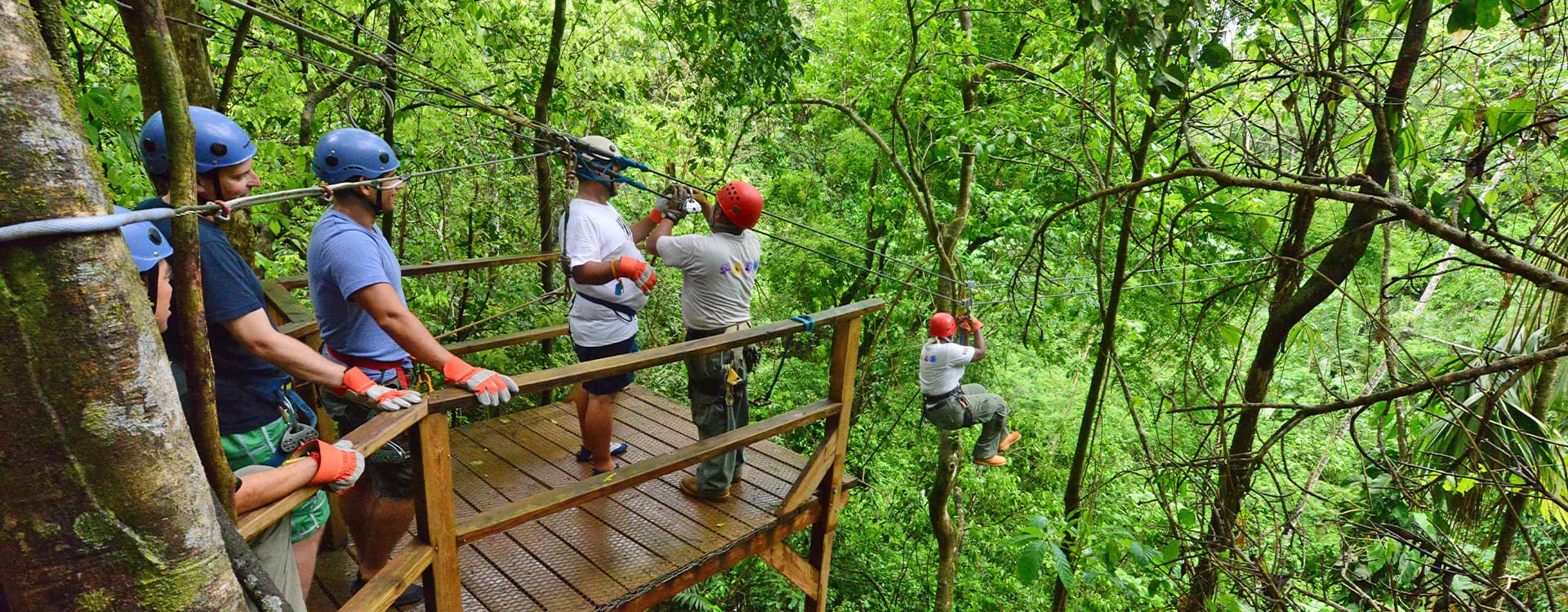 A group of people in helmets prepares to zip line through a lush green forest.