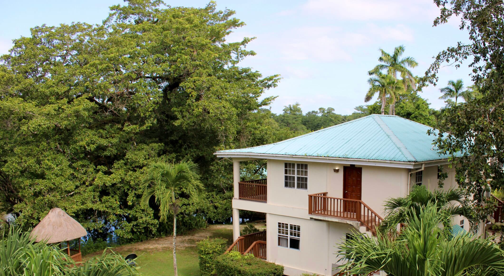 A two-story house with a blue roof surrounded by lush greenery and palm trees.