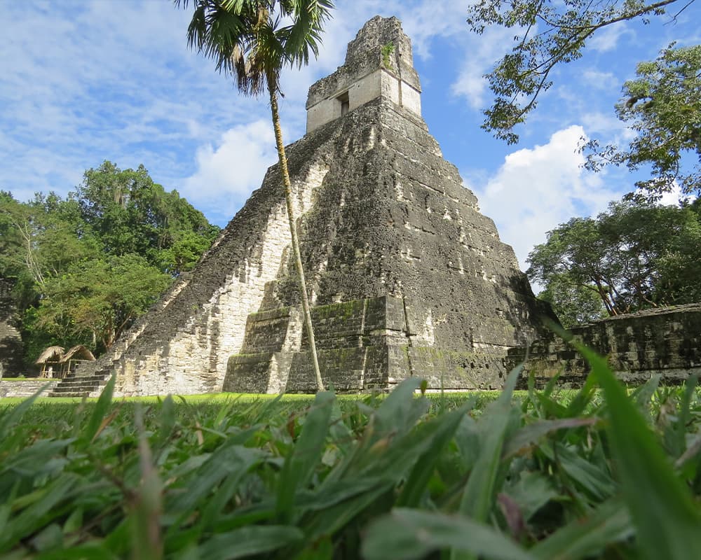A towering pyramid structure surrounded by lush greenery and a blue sky.