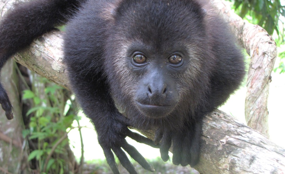 3 Perfect Days in Belize